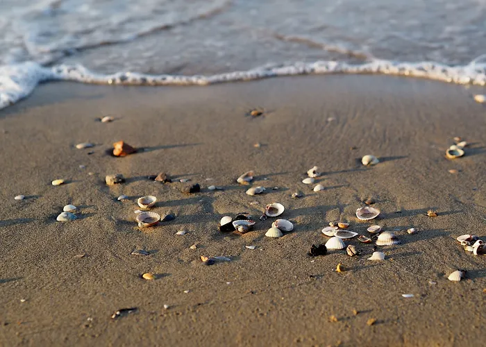 Two Level Attic With Sea View Terrace Daire *